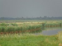 NL, Groningen, Groningen, Onnen, view from Onnerpolder gemaal 2, Saxifraga-Tom Heijnen