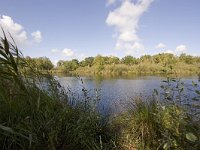 NL, Groningen, Hoogezand-Sappemeer, Westerbroek 25, Saxifraga-Jaap Schelvis : Westerbroek