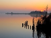 Reflecting sunset over lakeside  Reflecting sunset over lakeside : Noordenveld, atmosphere, autumn, calm, creative nature, dageraad, dawn, dusk, dutch, geel, hemel, herfst, holland, kalm, lake, lakeside, landscape, landschap, leekstermeer, lente, licht, light, meer, mist, natura 2000, natural, nature, natuur, natuurlijke, nederland, nederlands, nevel, nevelig, orange, oranje, peace, quiet, reflect, reflecteren, reflectie, reflection, rudmer zwerver, rust, schemering, sereen, serene, sfeer, silhouette, sky, spectaculair, spectacular, spring, summer, sun, sunbeam, sunlight, sunray, sunrise, sunset, sunshine, tranquil, twilight, vredig, water, yellow, zomer, zon, zonlicht, zonneschijn, zonnestraal, zonsondergang, zonsopgang