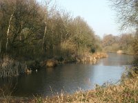 NL, Limburg, Gennep, Lange Ven 3, Saxifraga-Hans Boll