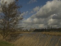 NL, Noord-Brabant, ´s-Hertogenbosch, Bossche Broek 33, Saxifraga-Jan van der Straaten