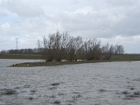 NL, Noord-Brabant, Altena, Braspenning 23, Saxifraga-Willem van Kruijsbergen