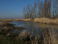 NL, Noord-Brabant, Altena, Galeigat 3, Saxifraga-Jan van der Straaten