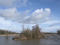 NL, Noord-Brabant, Altena, Gat van Den Kleinen Hil 5, Saxifraga-Willem van Kruijsbergen