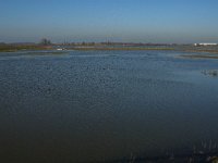 NL, Noord-Brabant, Altena, Japewaard 1, Saxifraga-Jan van der Straaten