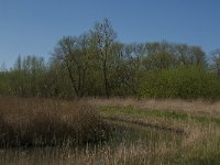 NL, Noord-Brabant, Altena, Kornsche Boezem 32, Saxifraga-Marijke Verhagen