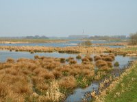 NL, Noord-Brabant, Altena, Maltha 1, Saxifraga-Jan van der Straaten