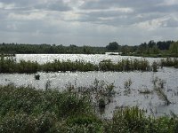 NL, Noord-Brabant, Altena, Maltha 4, Foto Fitis-Sytske Dijksen