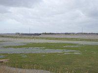 NL, Noord-Brabant, Altena, Nieuwe Merwede 1, Saxifraga-Willem van Kruijsbergen