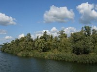 NL, Noord-Brabant, Altena, Noordplaatje 2, Saxifraga-Jan van der Straaten