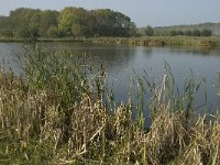 NL, Noord-Brabant, Altena, Pompveld 18, Saxifraga-Jan van der Straaten