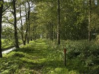 NL, Noord-Brabant, Altena, Pompveld 23, Saxifraga-Jan van der Straaten