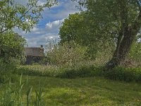 NL, Noord-Brabant, Altena, Ruwenhennip 1, Saxifraga-Jan van der Straaten