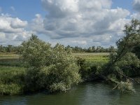 NL, Noord-Brabant, Altena, Ruwenhennip 24, Saxifraga-Jan van der Straaten