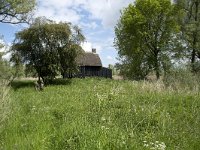 NL, Noord-Brabant, Altena, Ruwenhennip 33, Saxifraga-Willem van Kruijsbergen