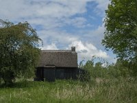 NL, Noord-Brabant, Altena, Ruwenhennip 4, Saxifraga-Jan van der Straaten