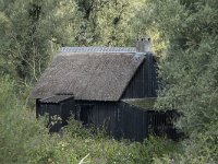 NL, Noord-Brabant, Altena, Ruwenhennip 52, Saxifraga-Willem van Kruijsbergen