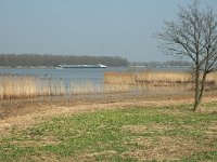 NL, Noord-Brabant, Altena, Spieringpolder 6, Saxifraga-Jan van der Straaten