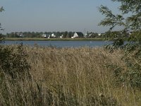 NL, Noord-Brabant, Bergen op Zoom, Hildernisse 13, Saxifraga-Jan van der Straaten