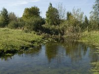 NL, Noord-Brabant, Bergen op Zoom, Hildernisse 15, Saxifraga-Jan van der Straaten