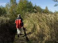 NL, Noord-Brabant, Bergen op Zoom, Hildernisse 4, Saxifraga-Jan van der Straaten