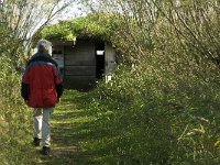 NL, Noord-Brabant, Bergen op Zoom, Hildernisse 5, Saxifraga-Jan van der Straaten