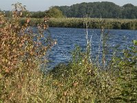 NL, Noord-Brabant, Bergen op Zoom, Hildernisse 7, Saxifraga-Jan van der Straaten