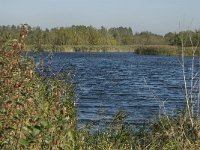 NL, Noord-Brabant, Bergen op Zoom, Hildernisse 8, Saxifraga-Jan van der Straaten