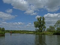 NL, Noord-Brabant, Drimmelen, Buiten Kooigat 4, Saxifraga-Jan van der Straaten