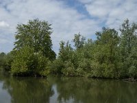 NL, Noord-Brabant, Drimmelen, De Dood 7, Saxifraga-Jan van der Straaten