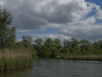 NL, Noord-Brabant, Drimmelen, Gat van de Kerksloot 2, Saxifraga-Jan van der Straaten