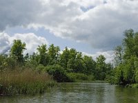 NL, Noord-Brabant, Drimmelen, Gat van de Plomp 9, Saxifraga-Jan van der Straaten