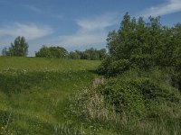 NL, Noord-Brabant, Drimmelen, Kuijpershoek 3, Saxifraga-Jan van der Straaten