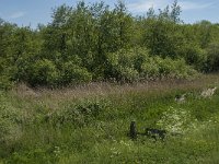 NL, Noord-Brabant, Drimmelen, Kuijpershoek 7, Saxifraga-Jan van der Straaten