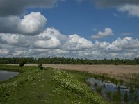 NL, Noord-Brabant, Drimmelen, Noorderplaat 21, Saxifraga-Jan van der Straaten