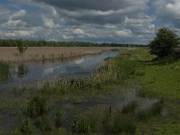 NL, Noord-Brabant, Drimmelen, Noorderplaat 27, Saxifraga-Jan van der Straaten