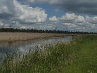 NL, Noord-Brabant, Drimmelen, Noorderplaat 33, Saxifraga-Jan van der Straaten