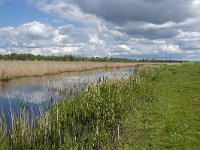 NL, Noord-Brabant, Drimmelen, Noorderplaat 52, Saxifraga-Willem van Kruijsbergen