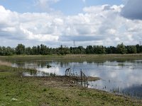 NL, Noord-Brabant, Drimmelen, Polder Lange Plaat 18, Saxifraga-Willem van Kruijsbergen