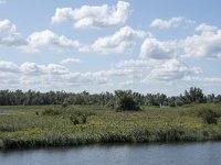 NL, Noord-Brabant, Drimmelen, Polder Lange Plaat 35, Saxifraga-Willem van Kruijsbergen