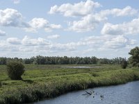 NL, Noord-Brabant, Drimmelen, Polder Lange Plaat 44, Saxifraga-Willem van Kruijsbergen