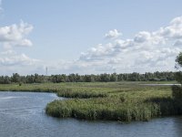 NL, Noord-Brabant, Drimmelen, Polder Lange Plaat 46, Saxifraga-Willem van Kruijsbergen