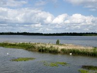 NL, Noord-Brabant, Drimmelen, Polder Lepelaar 3, Saxifraga-Willem van Kruijsbergen