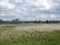 NL, Noord-Brabant, Drimmelen, Polder Turfzakken 11, Saxifraga-Willem van Kruijsbergen