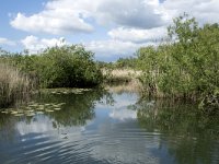 NL, Noord-Brabant, Drimmelen, Steurgatkreekje 2, Saxifraga-Willem van Kruijsbergen