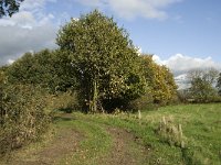 NL, Noord-Brabant, Heusden, de Sompen en Zooislagen 12, Saxifraga-Jan van der Straaten