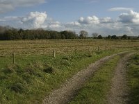 NL, Noord-Brabant, Heusden, de Sompen en Zooislagen 19, Saxifraga-Jan van der Straaten