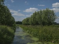 NL, Noord-Brabant, Tilburg, Zandkantse Leij 2, Saxifraga-Jan van der Straaten