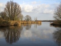 Dutch river Nieuwe Merwede, Biesbosch National Park, Netherlands  Biesbosch National Park, Netherlands : Biesbosch, National Park, river, stream, riverscape, rural landscape, Nieuwe Merwede, wetland