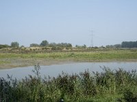 NL, Zuid-Holland, Dordrecht, Polder Kort- en Lang Ambacht 10, Saxifraga-Willem van Kruijsbergen